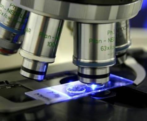 Centro de Patologia - Microscopios